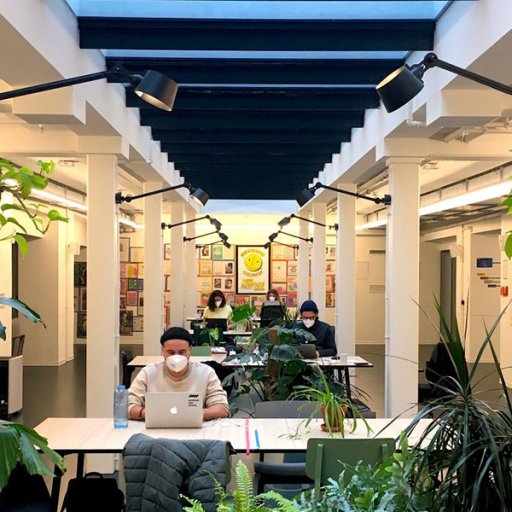 Digitale Ups and Downs: Erfahrungsberichte anderer Organisationen header desktop